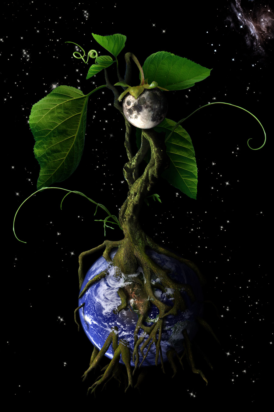 Photoshop Design by Chiboo for DesignCrowd (Community Contests) | Design #8996978