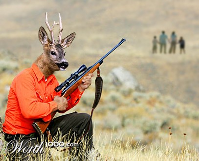 Photoshop Design by redkelley