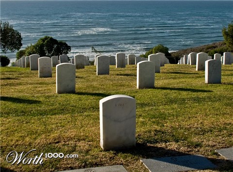 Photography by georgethedog