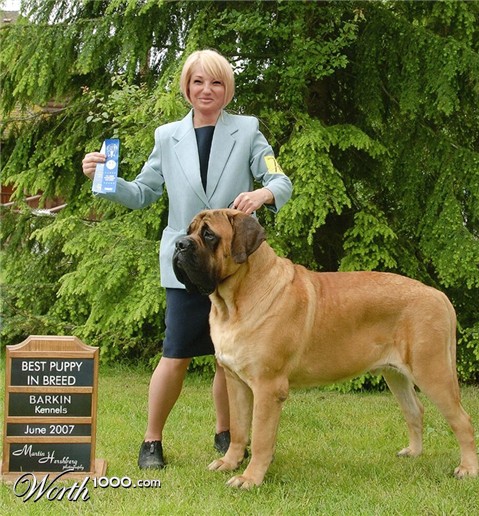 Photoshop Design by KebMo