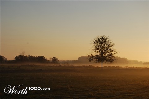 Photography by liberty2007crusader