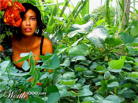 Photoshop Design by MTHead