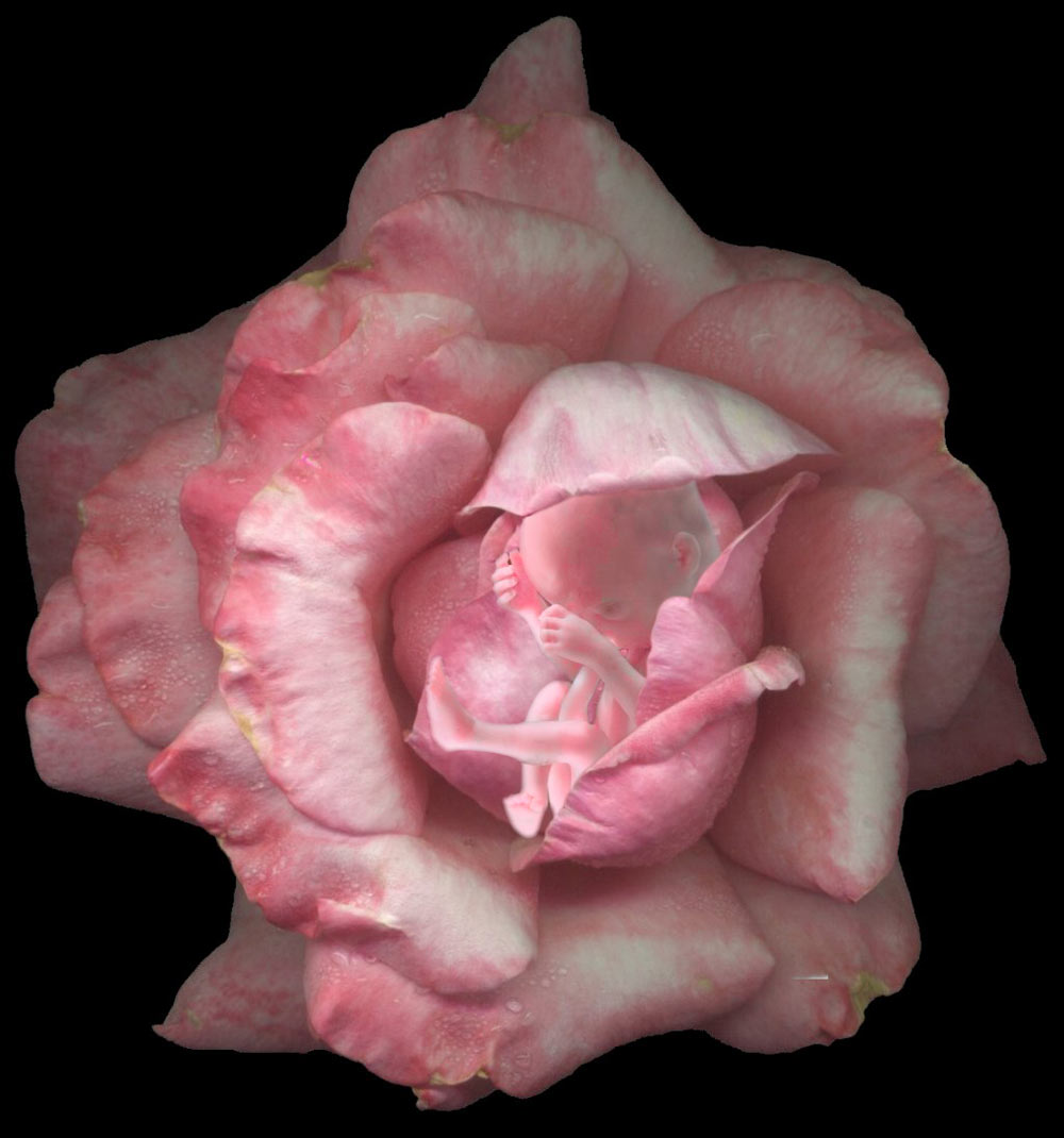 Photoshop Design by underworth for DesignCrowd (Community Contests) | Design #8998882