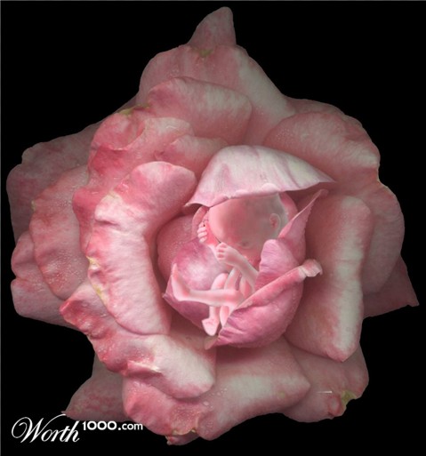 Photoshop Design by underworth