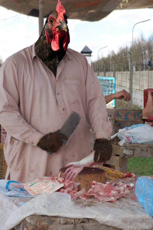 Photoshop Design by Spectatorr for DesignCrowd (Community Contests) | Design #8997956