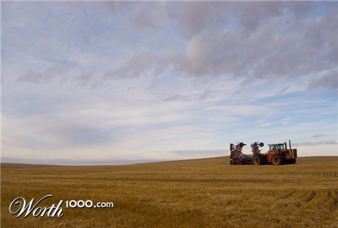 Photography by mysterio