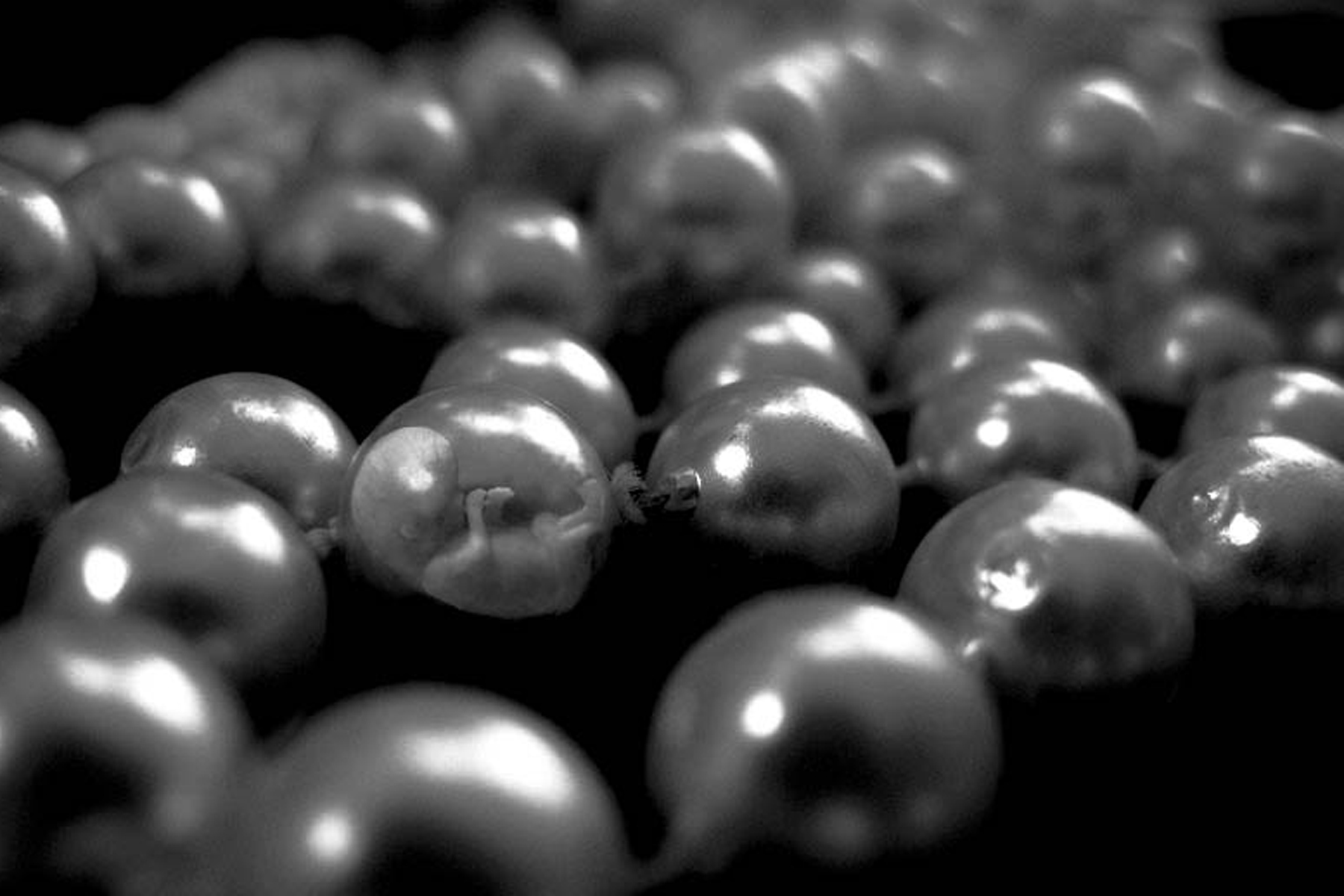 Design Photoshop par AvedaRose pour DesignCrowd (Community Contests) | Design #8998840