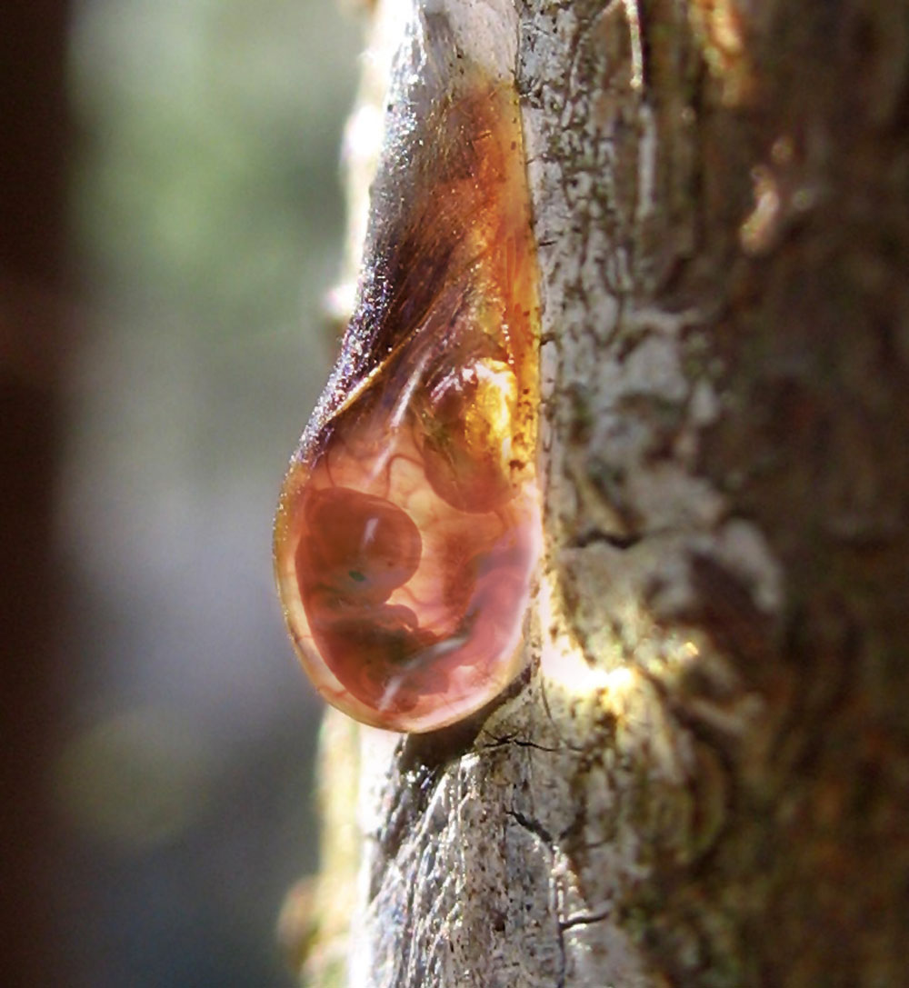 Diseño de Photoshop por zynnya para DesignCrowd (Community Contests) | Diseño #8998846