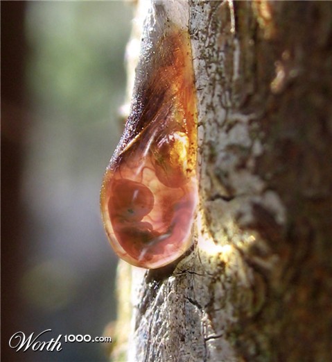 Photoshop Design by zynnya