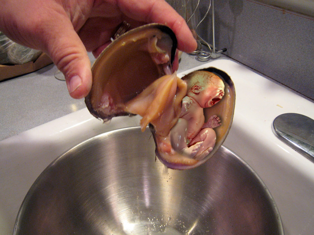 Diseño de Photoshop por Terrence para DesignCrowd (Community Contests) | Diseño #8998832