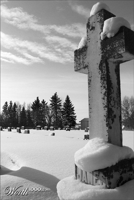 Photography by crattay21cuc