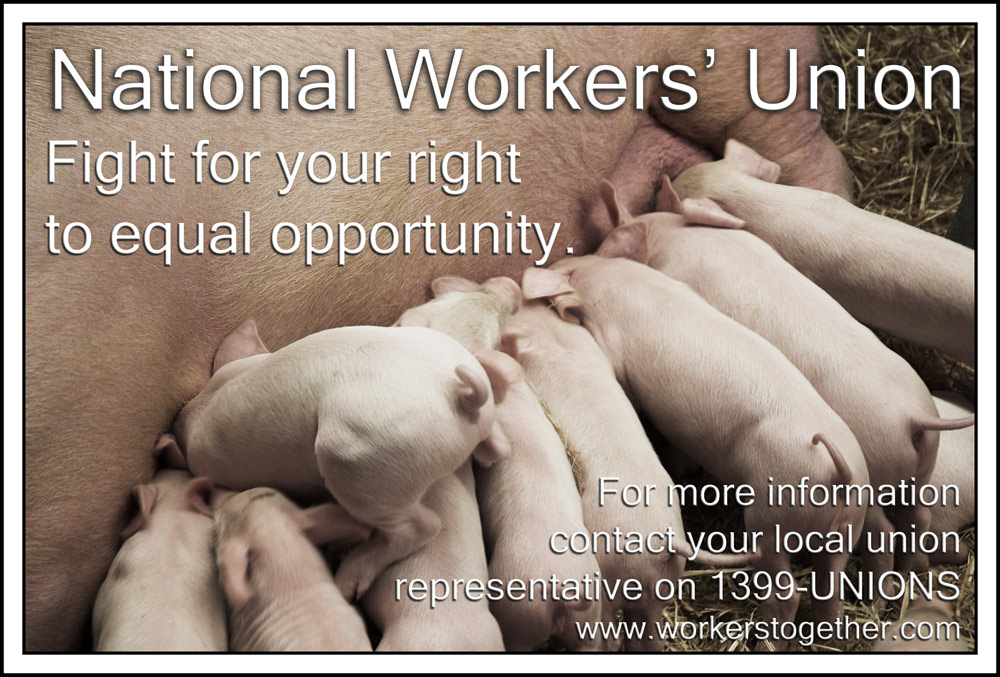 Fotografie von kimbomac für DesignCrowd (Community Contests) | Design #8996354