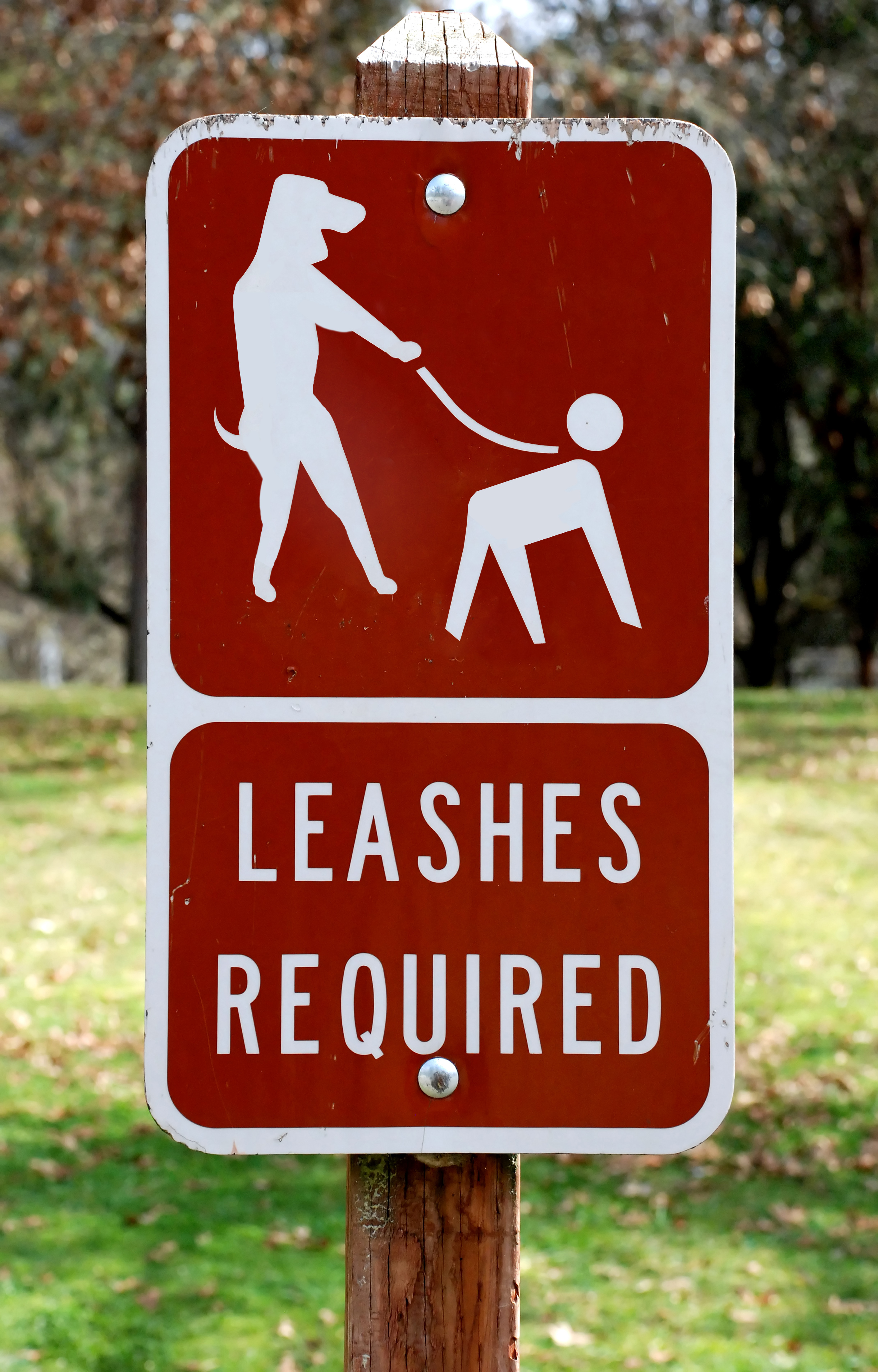 Diseño de Photoshop por Myxi2001 para DesignCrowd (Community Contests) | Diseño #8997991