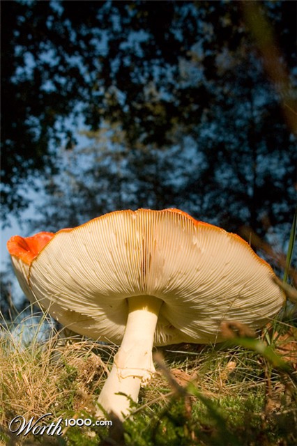 Photography by Marian