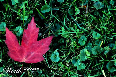 Photography by InherentHorizon