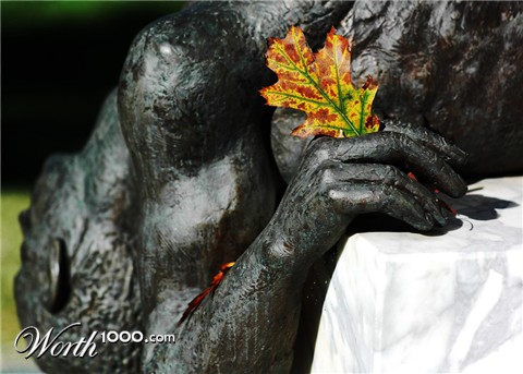 Photography by toscio