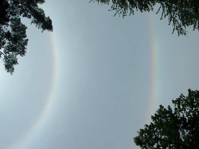 Photography by jen2203 for DesignCrowd (Community Contests) | Design #8996595