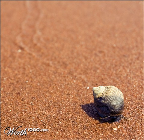 Photography by BoBLL7