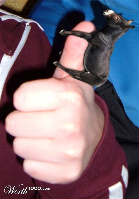 Photoshop Design by argosaries