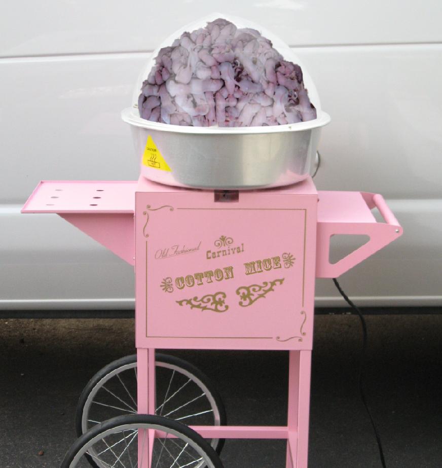 Photoshop Design by Shmoxanne for DesignCrowd (Community Contests) | Design #8998819