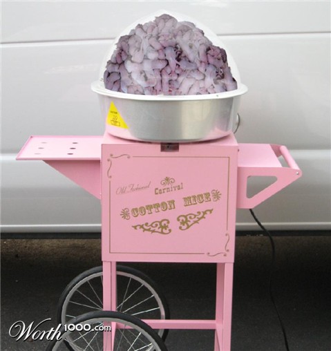 Photoshop Design by Shmoxanne