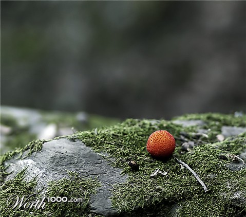Photography by damas100