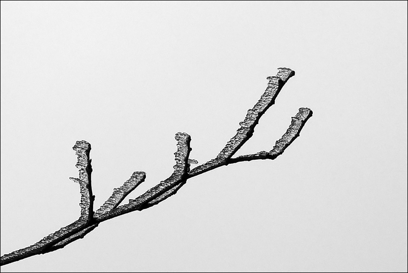 Fotografía por IsleofJura para DesignCrowd (Community Contests) | Diseño #8996632