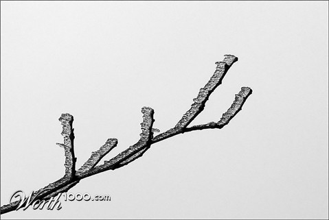 Photography by IsleofJura