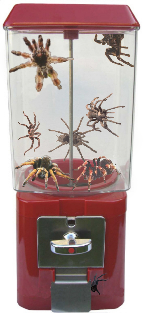 Photoshop Design by bicyclewilli for DesignCrowd (Community Contests) | Design #8998851