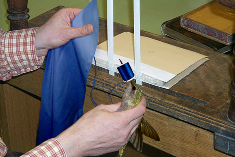 Photoshop Design by argosaries for DesignCrowd (Community Contests) | Design #8997687