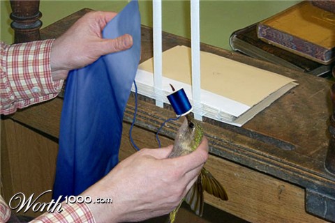 Photoshop Design by argosaries