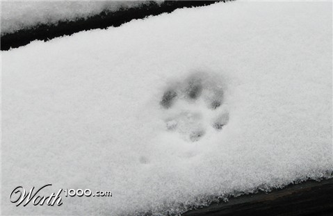 Photography by carpwoman