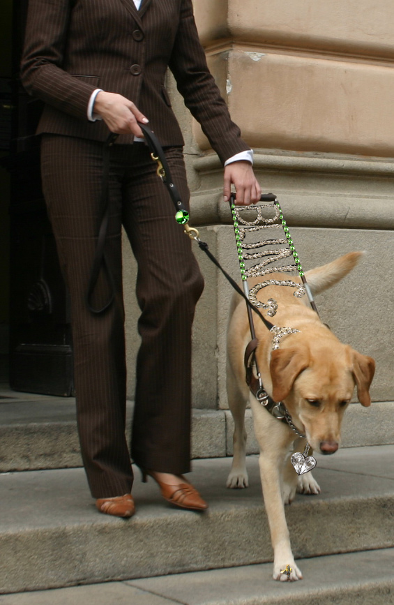 Photoshop Design by JekHyden for DesignCrowd (Community Contests) | Design #9002491