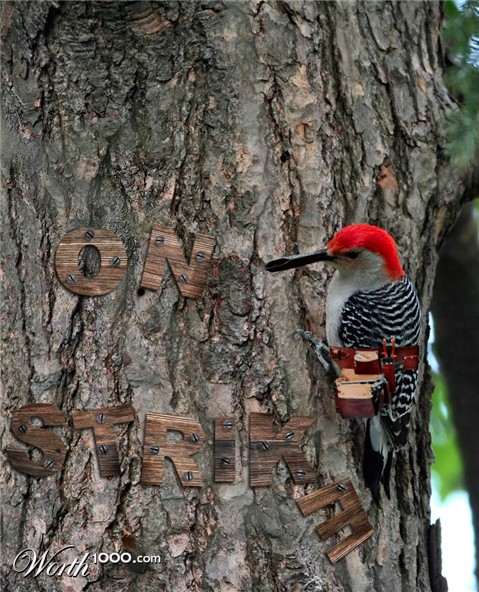 Photoshop Design by loutremauve