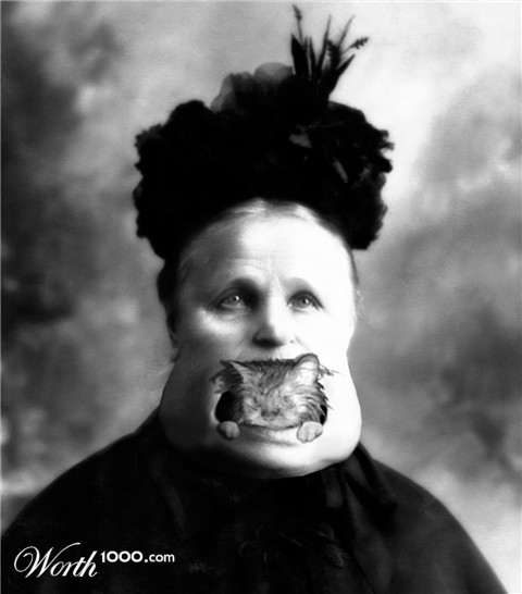 Photoshop Design by BleedingTeddy