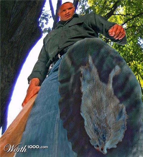Photoshop Design by MTHead