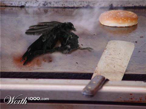 Photoshop Design by Rocksham