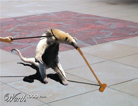 Photoshop Design by bicyclewilli