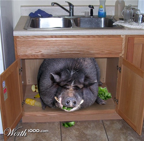 Photoshop Design by nome63