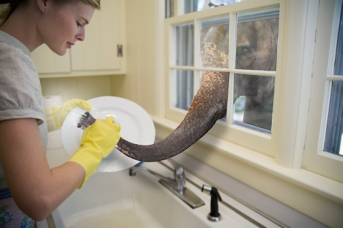 Diseño de Photoshop por Deborahb para DesignCrowd (Community Contests) | Diseño #8997689