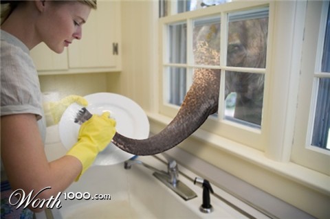 Photoshop Design by Deborahb