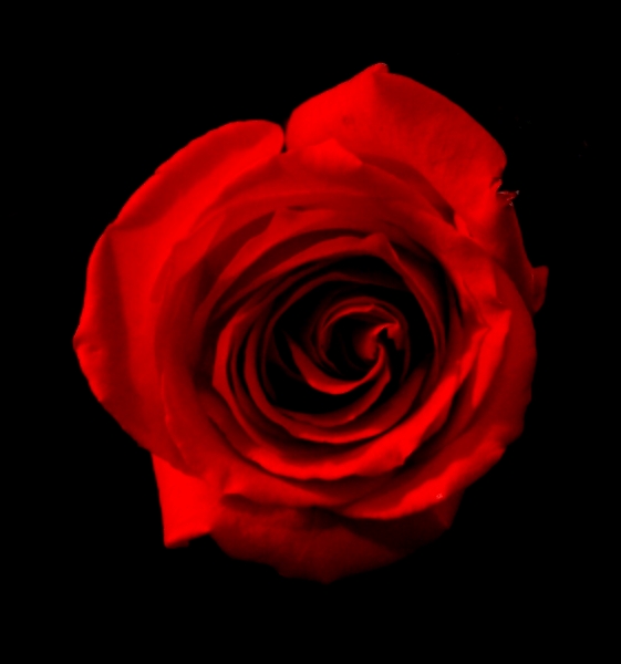 Photography by planetgazer for DesignCrowd (Community Contests) | Design #8998947