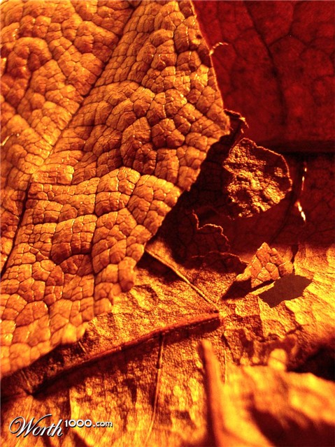 Photography by francodr