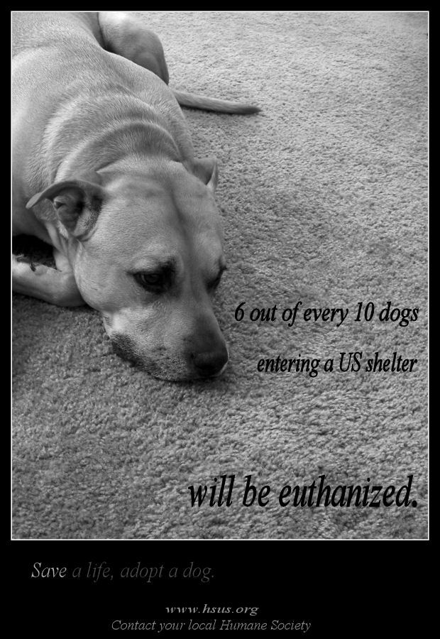 Photography by Marlii for DesignCrowd (Community Contests) | Design #8996400