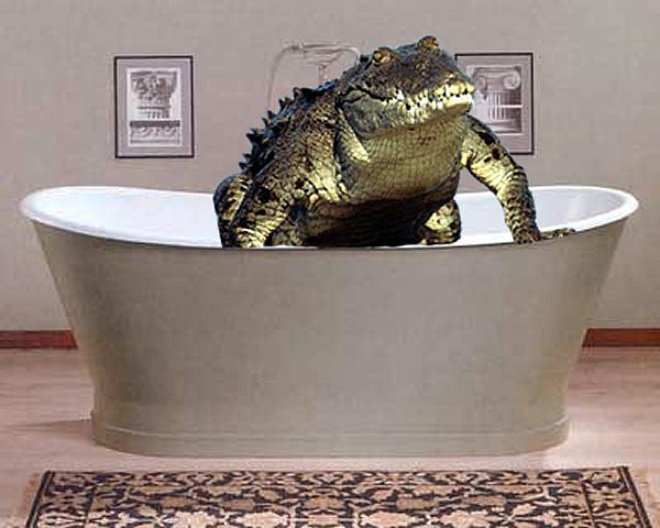 Design Photoshop par nahushrc pour DesignCrowd (Community Contests) | Design #8997222