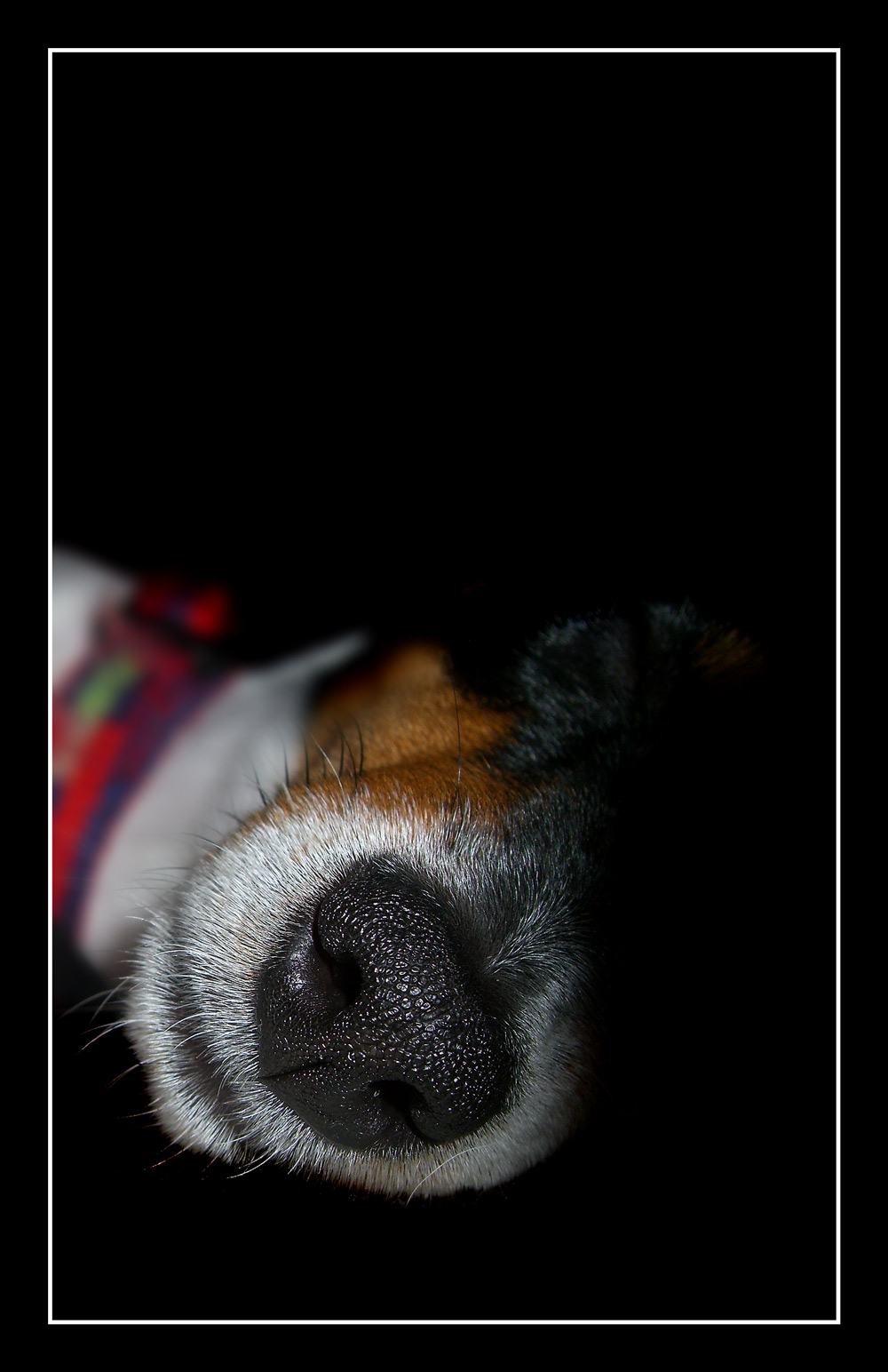 Photography by Flimzer for DesignCrowd (Community Contests) | Design #8996633