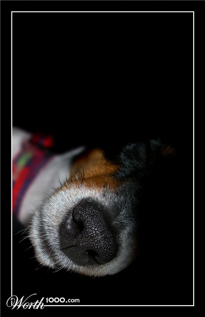 Photography by Flimzer