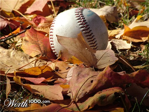 Photography by nedradio