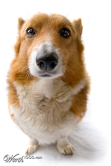 Photography by Marian