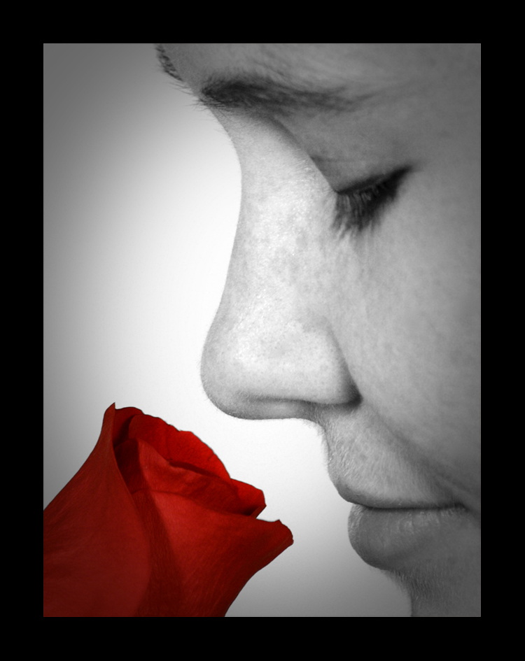 Photography by drdonallen for DesignCrowd (Community Contests) | Design #8996707